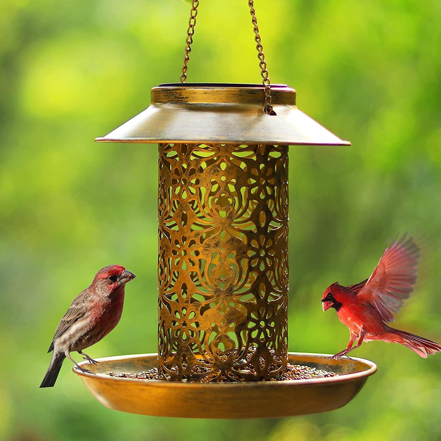 Outdoor Lighting Decor Ideas - Rumah Burung Gantung Logam Luar Ruangan